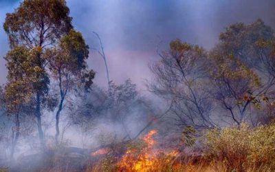 Bushfire Water Tank Requirements